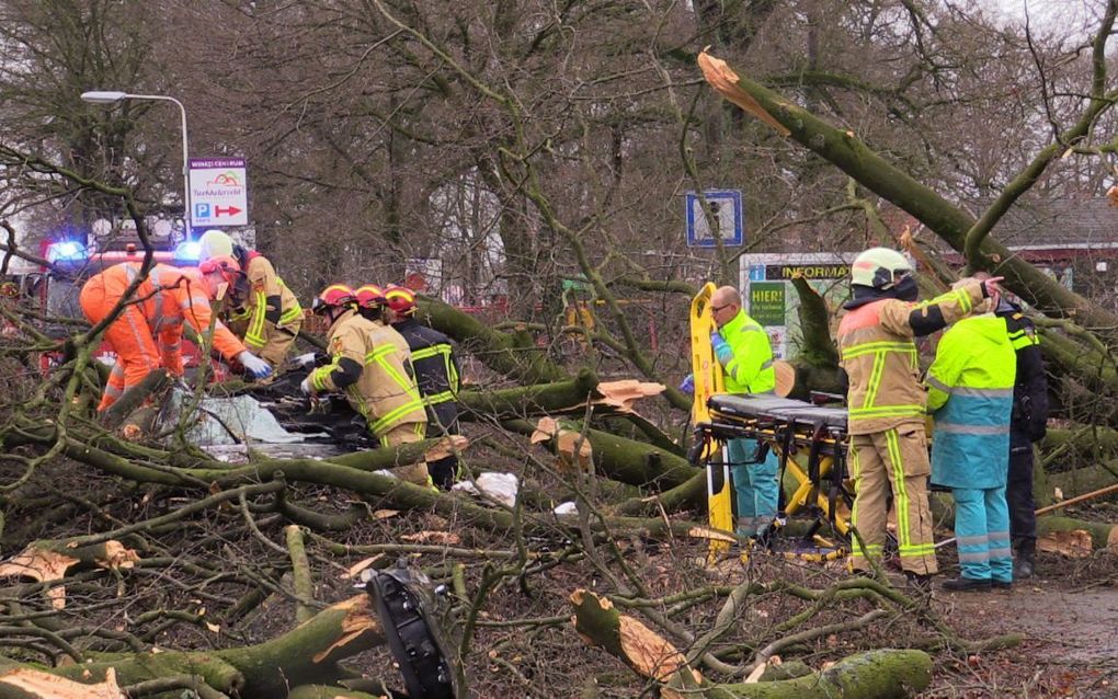 In Enschede overleed een 62-jarige man nadat een boom door de wind op zijn auto was terechtgekomen. beeld ANP