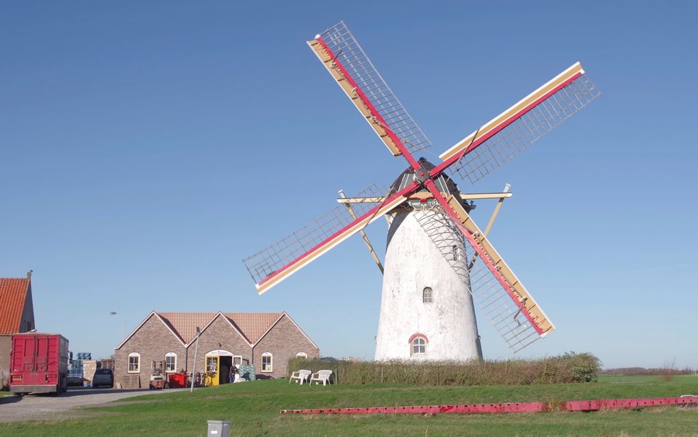 Zeeland steekt geld in behoud van Zeeuws cultureel erfgoed. Op de foto de korenmolen van Biggekerke. beeld Van Scheyen Fotografie