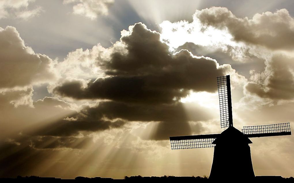 Molen bij Petten. beeld ANP