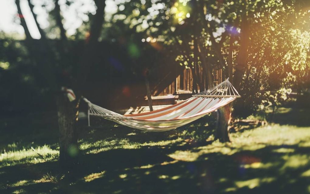 beeld iStock