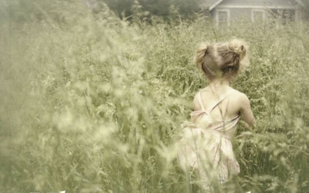 Amerikaanse roman ”Vliegen zonder vleugels” is sterk en