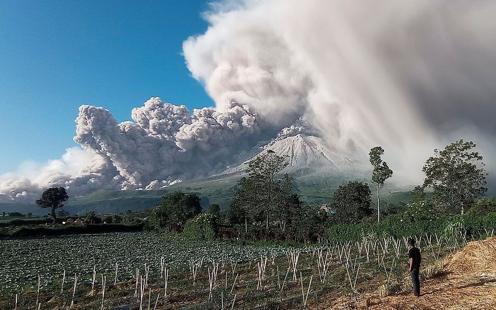 beeld AFP, Bahari Tarigan