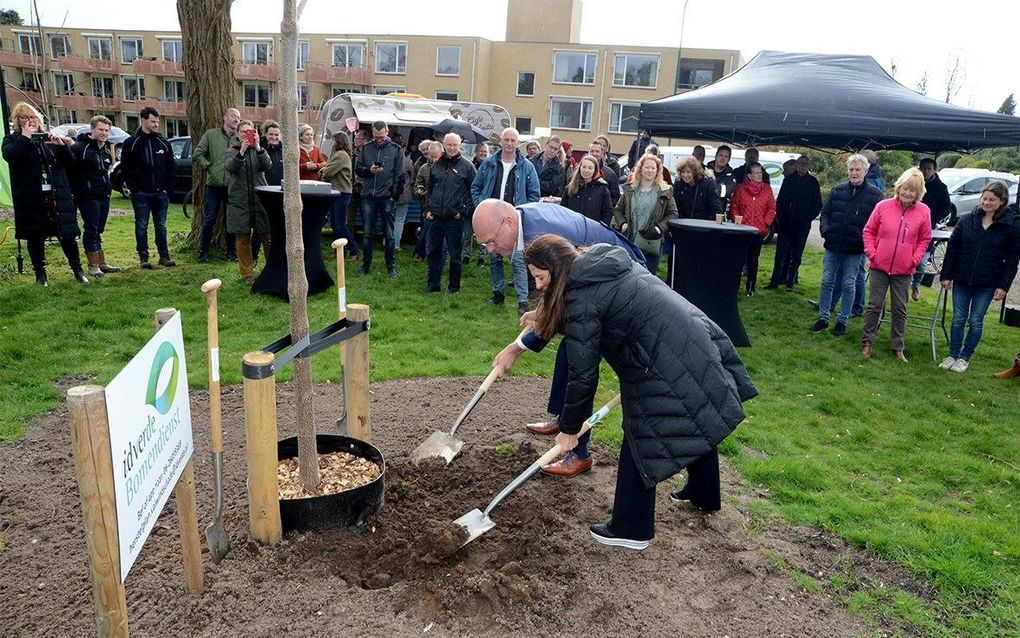 De wethouders Anouk Haaxma en Gerrit Boonzaaijer planten de laatste boom. beeld gemeente Utrechtse Heuvelrug