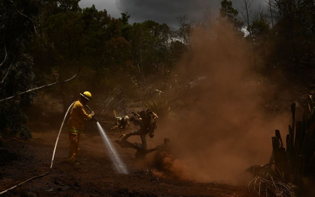 Branden in Hawaï. beeld AFP, Patrick T. Fallon