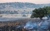 Grasland brandt in Noord-Israël. beeld National Parks Authority, Itay Nisim en Eran Haimes