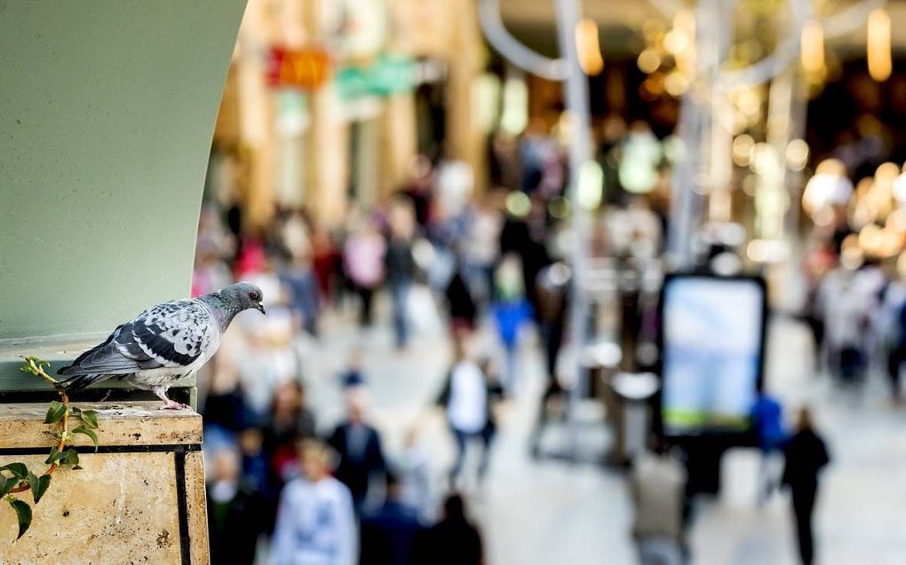 Als mensen optimistisch zijn, geven ze makkelijker geld uit. Foto: winkelend publiek in de Rotterdamse Koopgoot.  beeld ANP, Koen van Weel