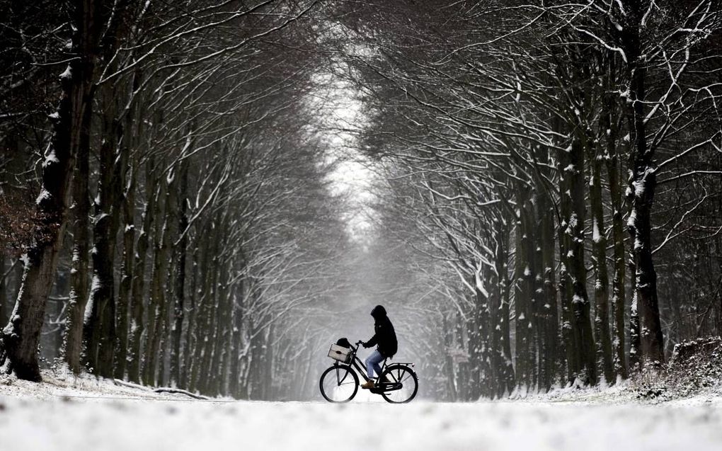 Een fietser completeerde dinsdag in het Noord-Hollandse Heiloo het winterse plaatje. beeld ANP, Koen van Weel