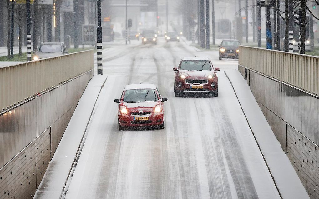 Rotterdam. beeld ANP