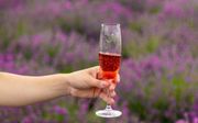 beeld iStock