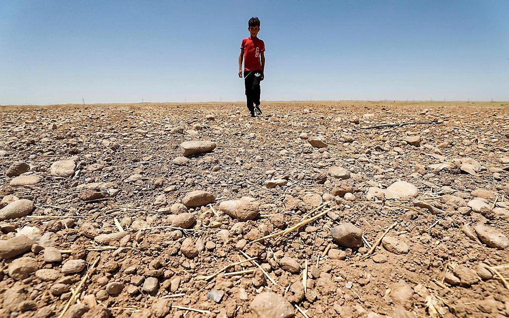 Droogte in Irak. beeld AFP, Ahmad al-Rubaye