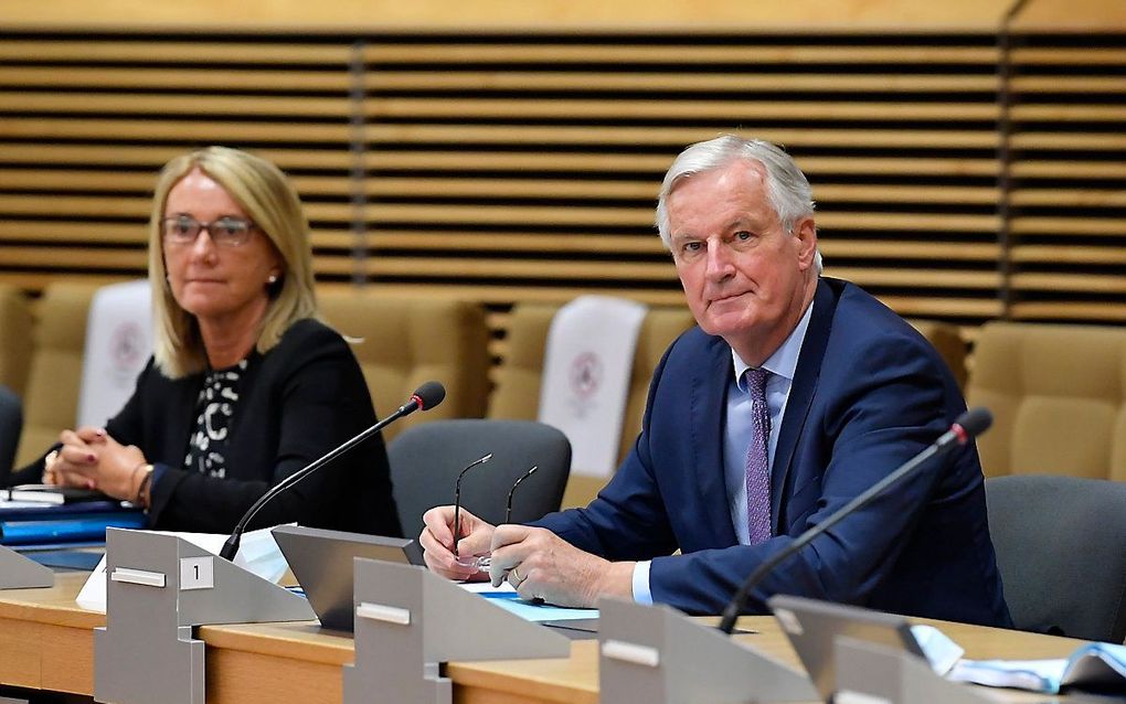 EU-onderhandelaar Barnier. beeld AFP