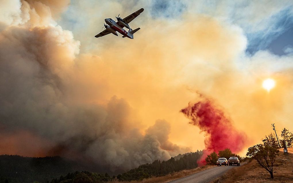 Bluswerk vanuit de lucht in Healdsburg, Californië (VS). beeld AFP