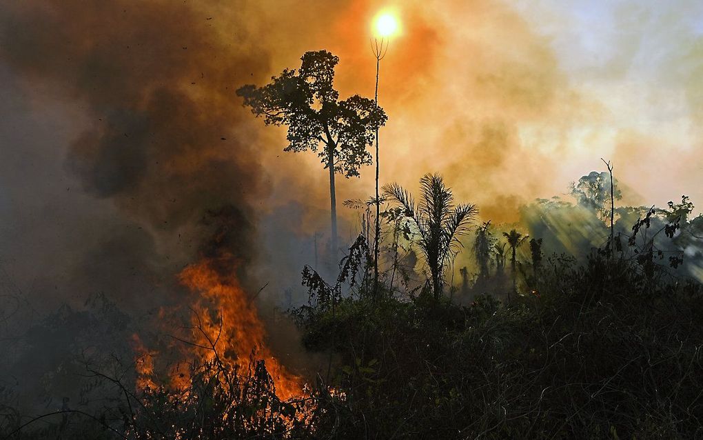 beeld AFP, Carl de Souza