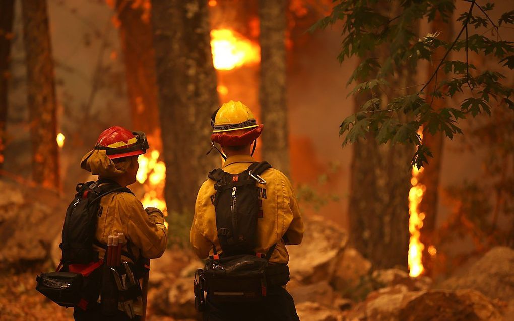 beeld AFP, Justin Sullivan