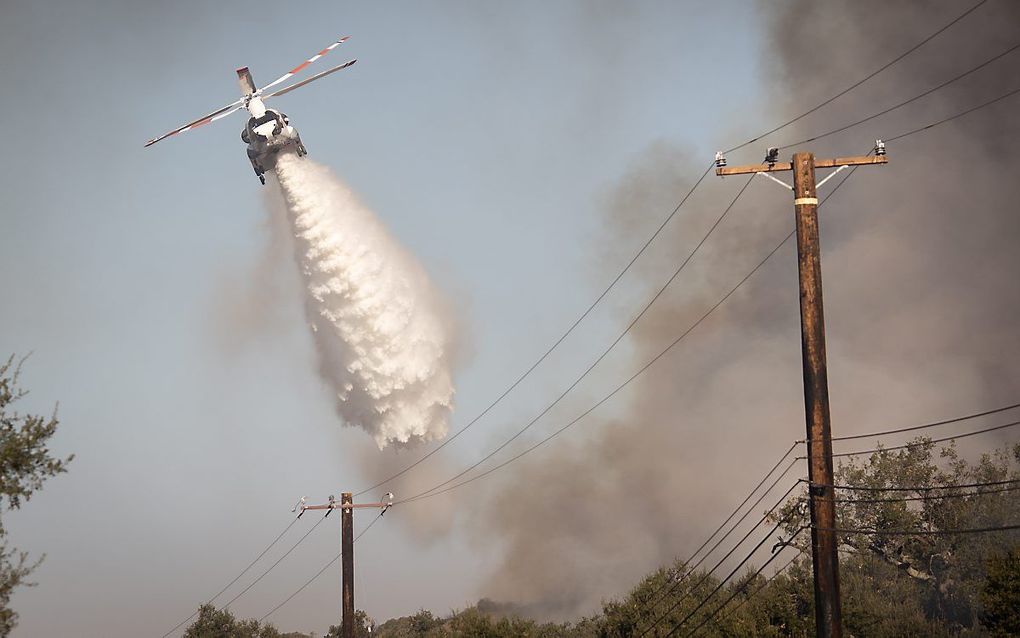 beeld EPA/Christian Monterrosa