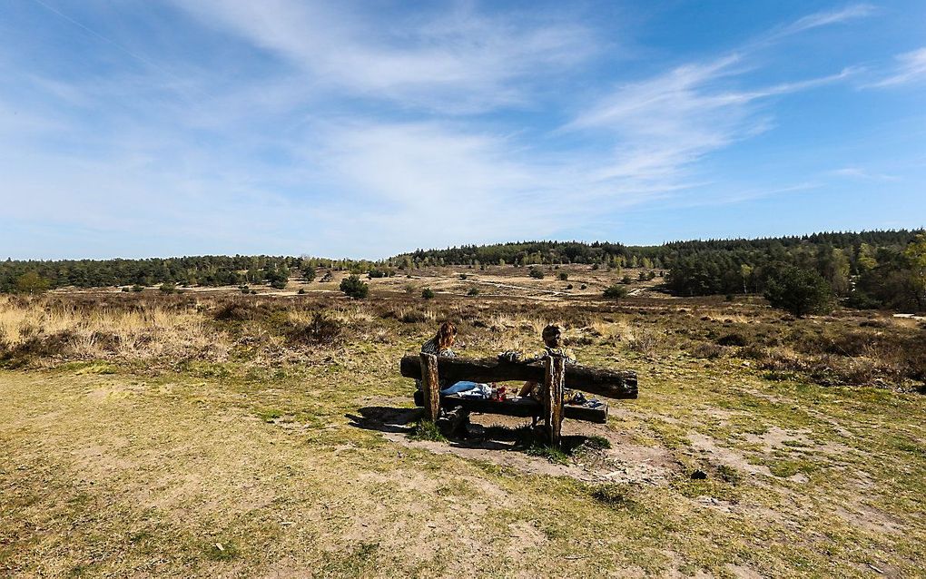 Veluwe. beeld ANP, Pieter Stam de Jonge