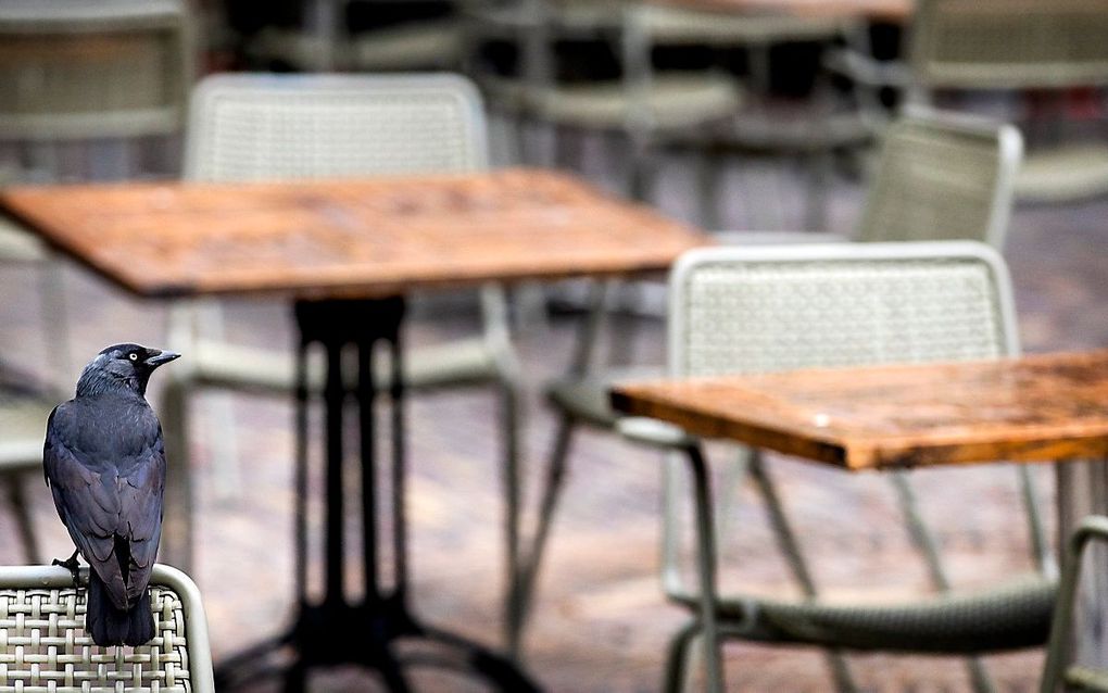 Een leeg terras in Den Haag. beeld ANP, Koen van Weel