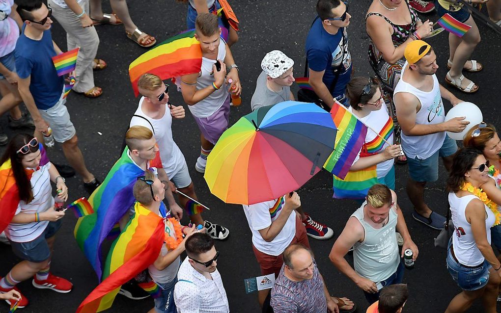 Homoseksuelen bij het Hongaarse parlement. beeld AFP, ATTILA KISBENEDEK