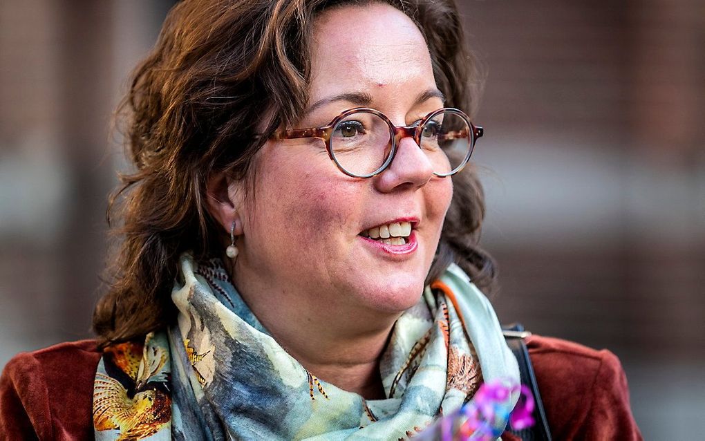 Tamara van Ark, minister voor Medische Zorg. beeld ANP, Remko de Waal