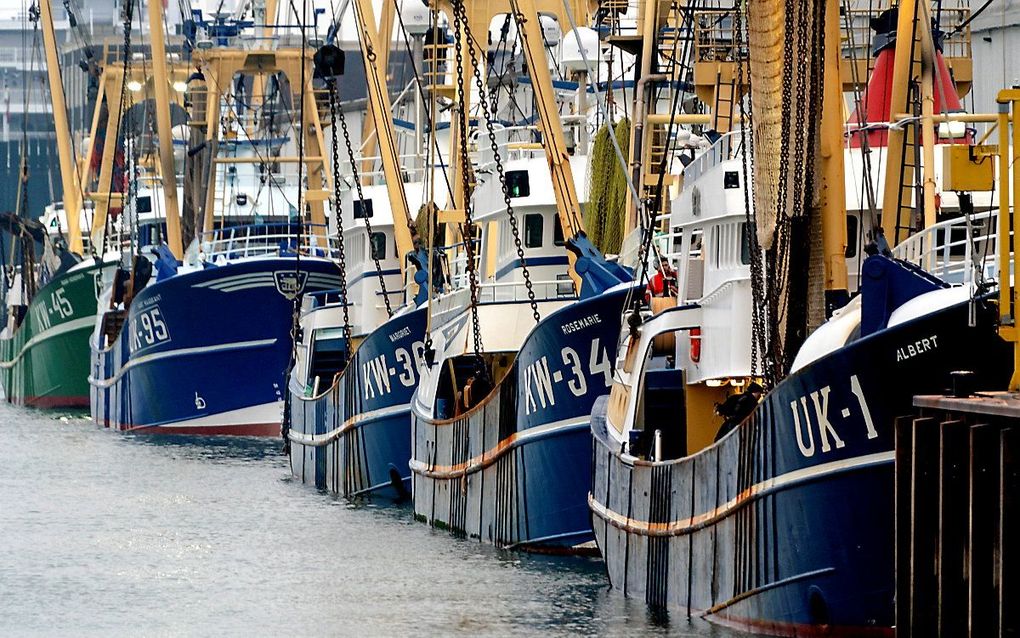 Kotters in de haven van IJmuiden. beeld ANP, Sander Koning