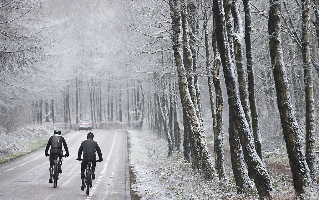 Een dun laagje sneeuw in het Vijlenerbos in het zuiden van Limburg, zaterdag 2 januari. beeld ANP, Marcel van Hoorn