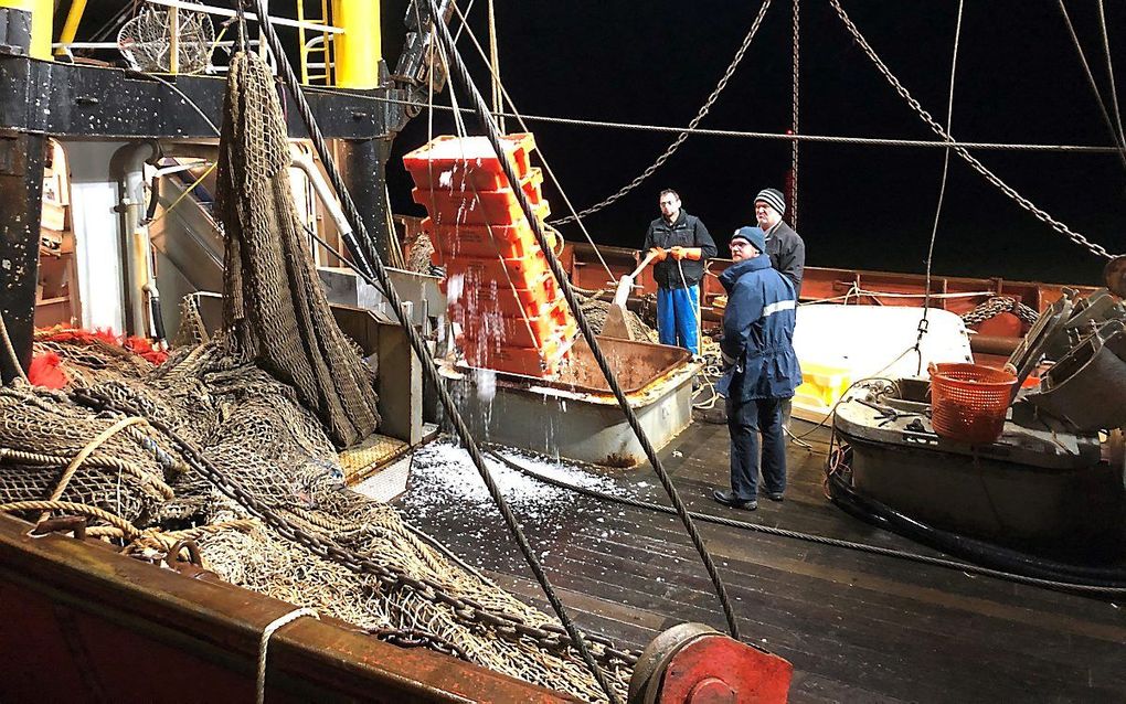 De FD 283 loste begin januari als eerste Britse vlagkotter na de brexit vis in een Nederlandse haven, onder toezicht van een NVWA-medewerker (voorgrond). De vis werd in Harlingen aan land gezet en was bestemd voor de visafslag in Urk. beeld RD