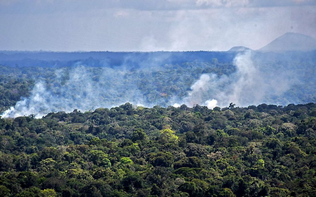 Een brand in de Braziliaanse Amazone. beeld AFP, Nelson Almeide