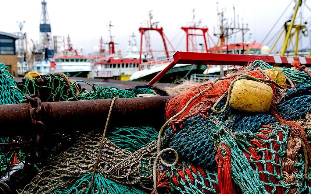 Vissersboten in de haven van IJmuiden. beeld ANP, Sander Koning