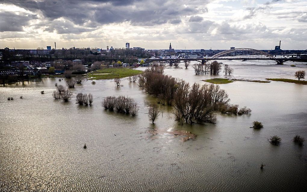 Luchtfoto van hoogwater in de Waal, maart 2020. beeld ANP, ROB ENGELAAR