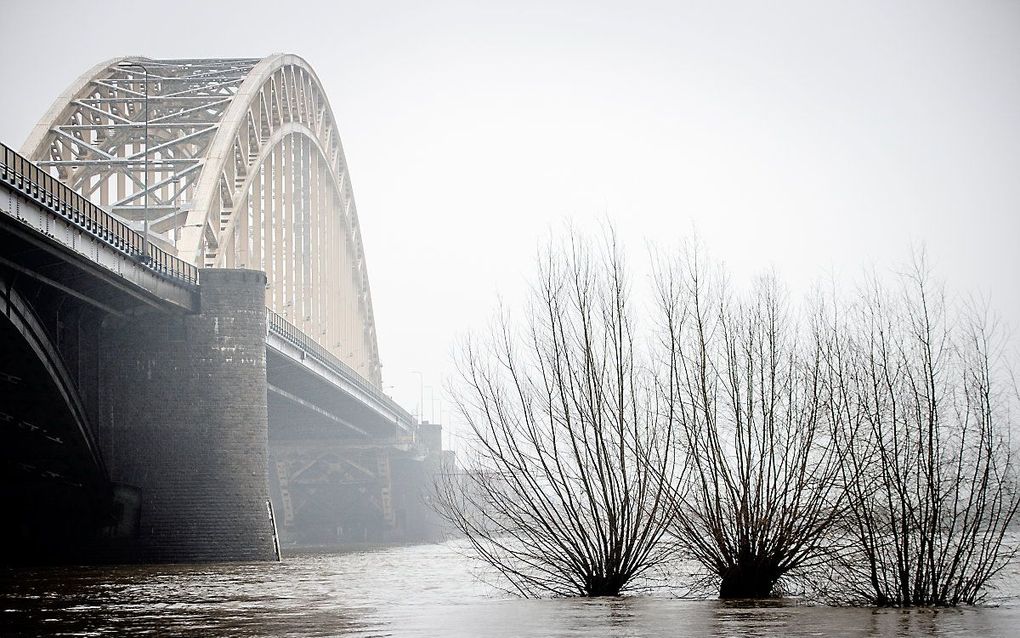 Het waterpeil in de Nederlandse rivieren blijft voorlopig stijgen, zoals de Waal bij Nijmegen. Waterschap Rivierenland sluit donderdag de "hoogwaterdeuren” op de Nijmeegse Waalkade. De zogeheten coupure aan de Lage Markt voorkomt dat rivierwater in de benedenstad stroomt. beeld ANP, Sem van der Wal