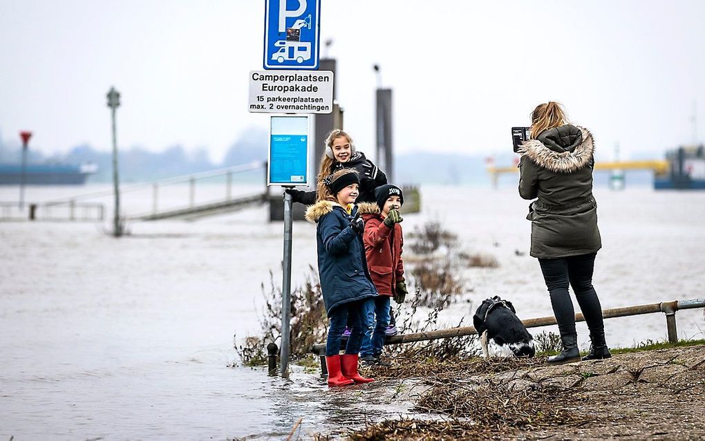 Hoogwater in de Rijn. beeld ANP, REMKO DE WAAL