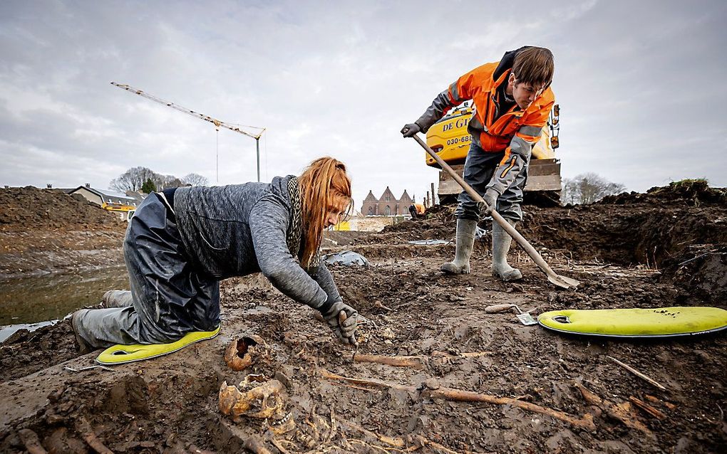 Archeologen aan het werk bij een massagraf aan de stadsgracht in Vianen, bij graafwerkzaamheden zijn tientallen menselijke skeletten blootgelegd. De skeletten dateren vermoedelijk uit een periode tussen de late middeleeuwen en enkele honderden jaren geleden en liggen vlakbij de plek van voormalige kasteelterrein Batestein. beeld ANP, Robin van Lonkhuijsen