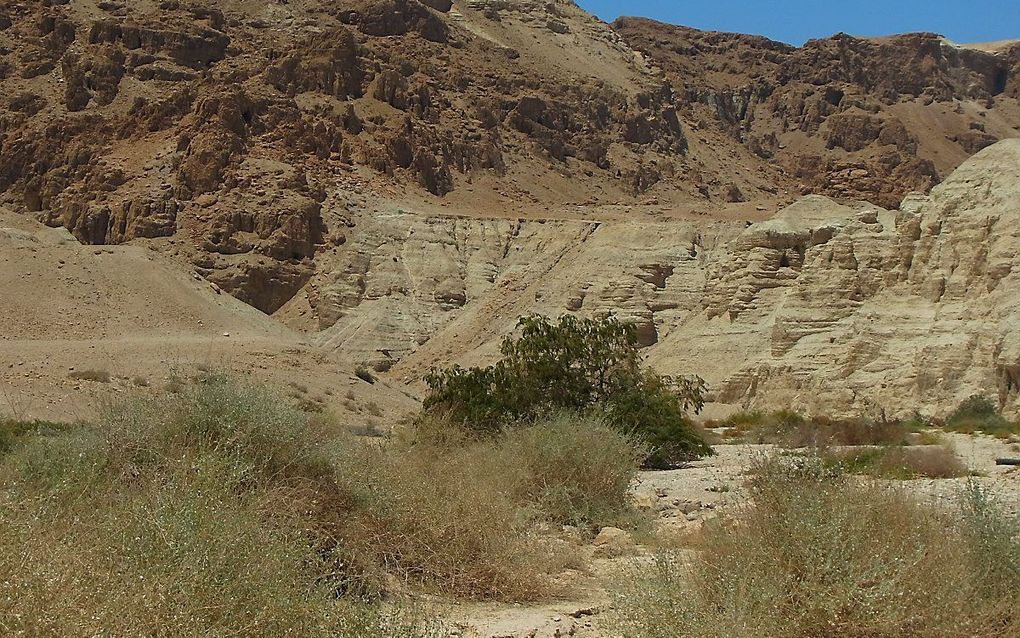 De rotsen in de woestijn van Judea bevatten talloze grotten. De Dode Zeerollen zijn gevonden in elf verschillende grotten rond Qumran. beeld Wikimedia