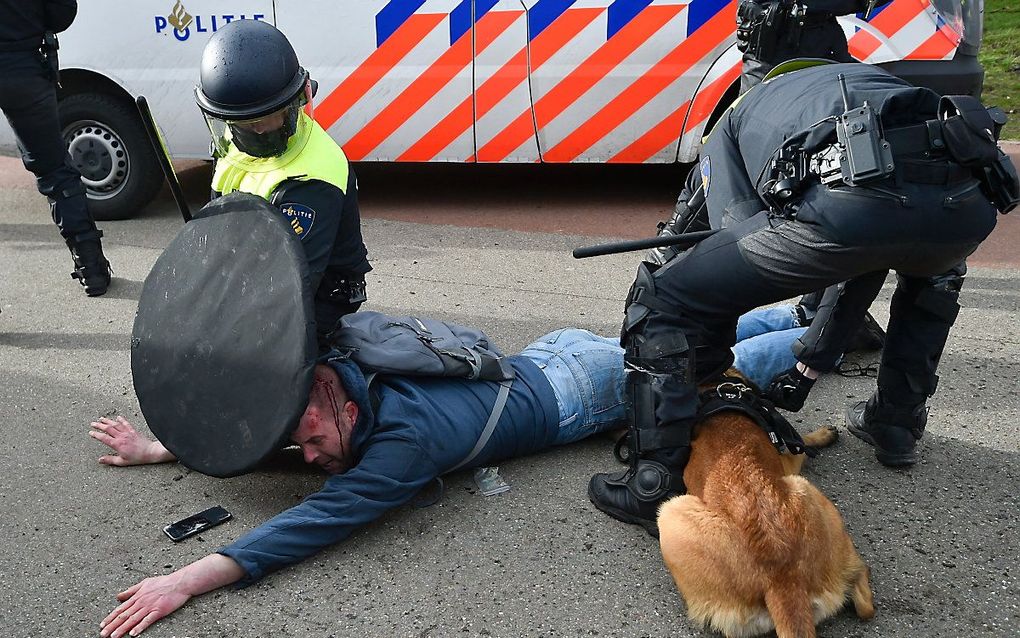 Politieagenten en een politiehond houden iemand tegen de grond op het Malieveld, afgelopen zondag. beeld AFP, John Thys