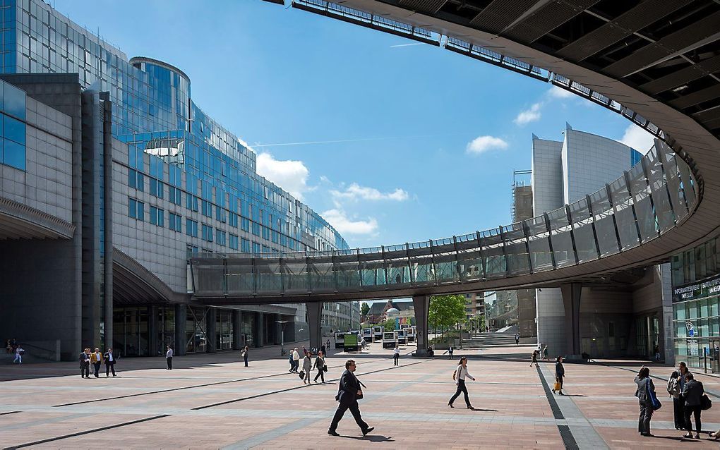 Het Europees Parlement in Brussel. beeld ANP, Lex van Lieshout