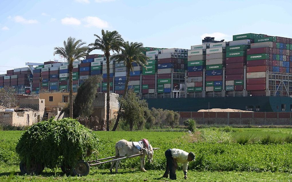 De Ever Given ligt vast in het Suezkanaal. beeld AFP, Ahmad HASSAN