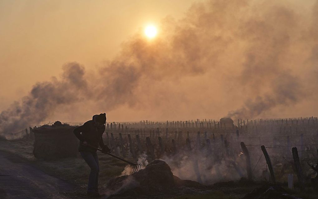 Een wijnbouwer in het Franse Touraine verbrandt strobalen om zijn wijngaard te beschermen tegen de vorst. beeld AFP, Guillaume Souvant