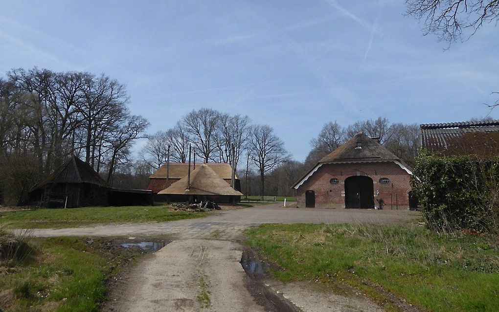 Het buitengebied van Lunteren (niet de locatie van de autobrand). beeld Kees van Reenen