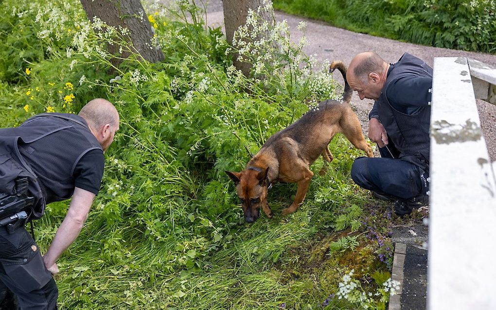 Politieonderzoek in Broek in Waterland. beeld ANP, Michel van Bergen