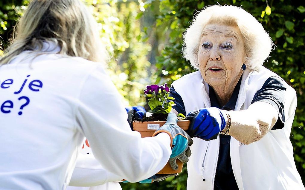 Prinses Beatrix helpt tijdens NLdoet altijd trouw mee. „Fijn dat ik vanochtend weer mag werken.” beeld ANP, Sem van der Wal