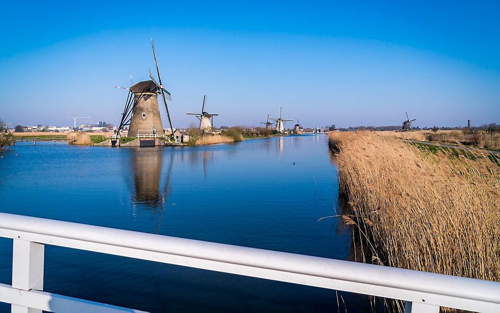 Kinderdijk. beeld ANP, Lex van Lieshout