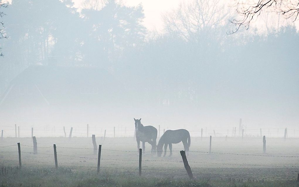 beeld ANP, VINCENT JANNINK