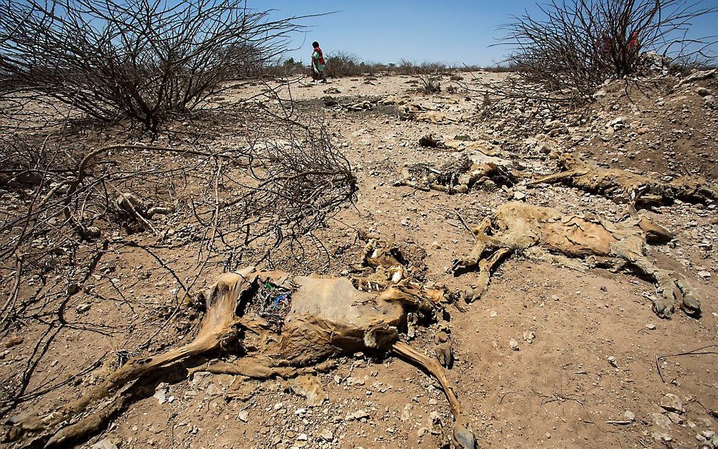 Droogte en honger in Somalië. Archiefbeeld ANP ARIE KIEVIT