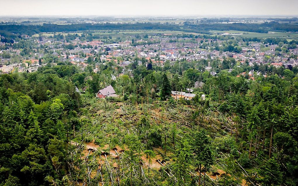 Honderden omgewaaide bomen bij Leersum. beeld ANP, SEM VAN DER WAL