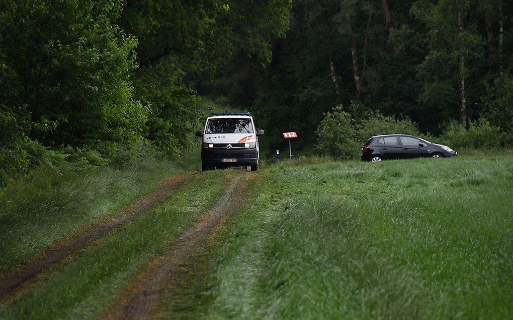 Het Dilserbos, onderdeel van het Nationaal Park Hoge Kempen. beeld AFP, Pino Misuraca