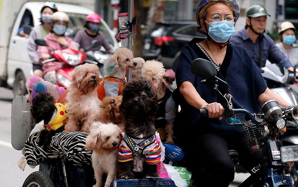 beeld EPA, LUONG THAI LINH