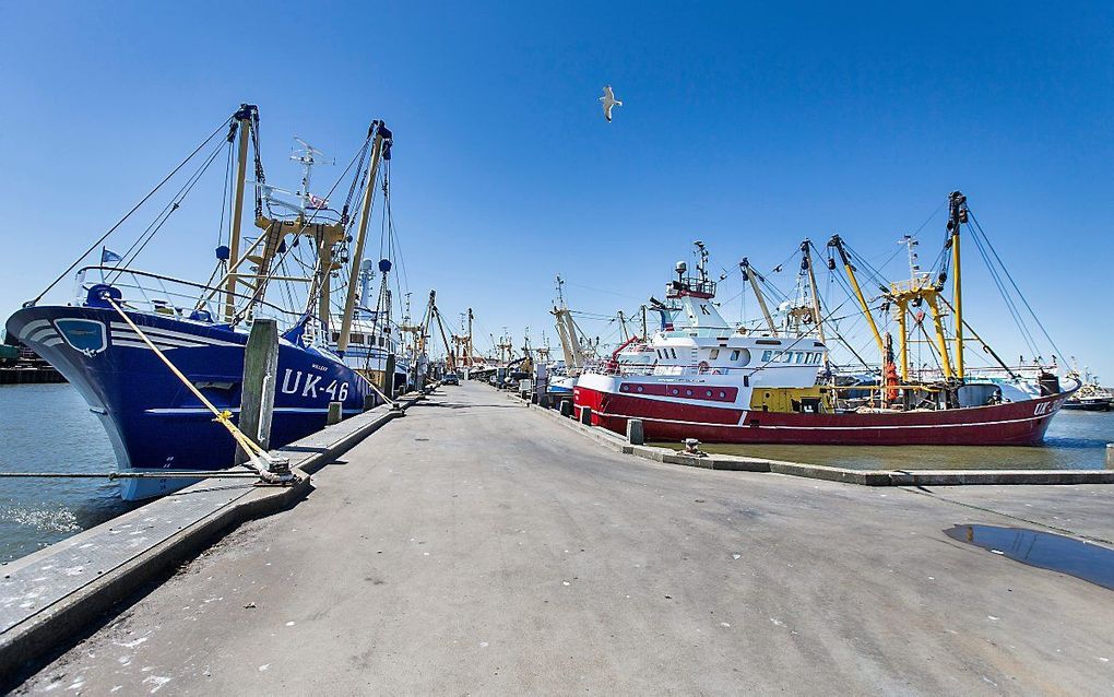 Viskotters in de haven van Harlingen. beeld RD, Henk Visscher