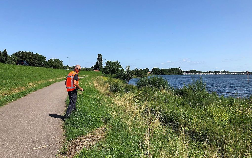 Dijkwacht Jan de Krijger inspecteert een zijarm van de Maas, bij Maasbommel. Door de wateroverlast in Limburg is het waterpeil een stuk hoger dan normaal. beeld RD