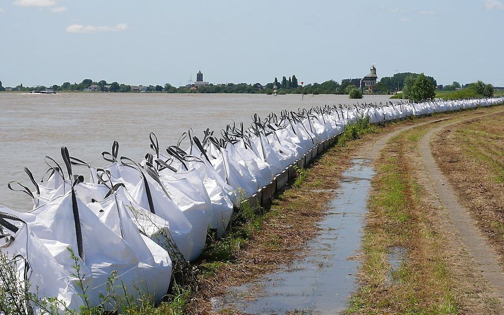 Big bags met zand op de zomerdijk in de Willemspolder tussen Tiel en Echteld, tegen het hoge water in de Waal. beeld VidiPhoto