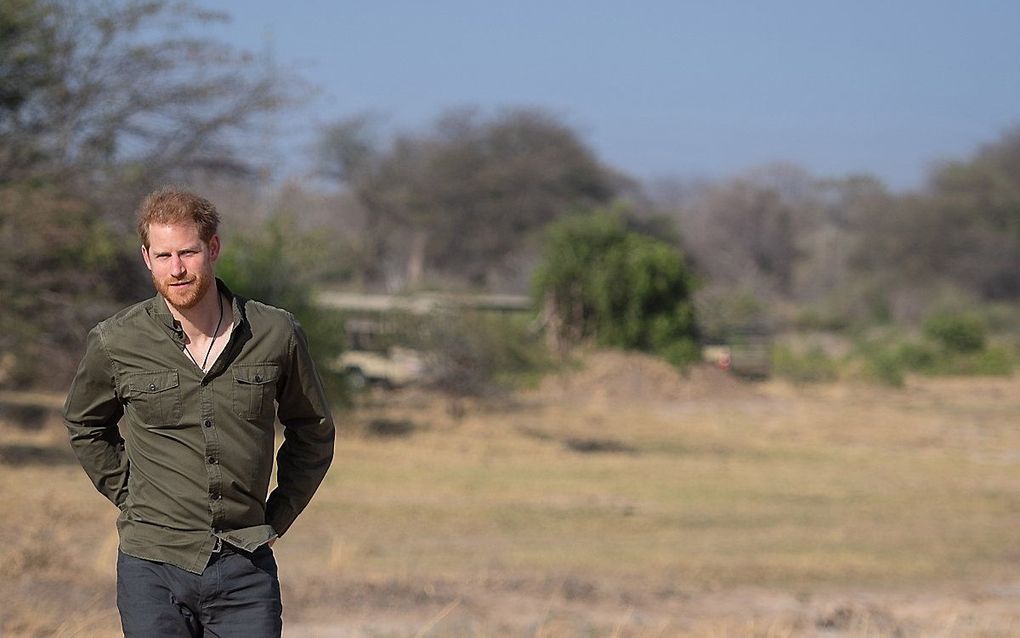 De Britse prins Harry tijdens een bezoek aan Botswana in 2019. beeld EPA, Dominic Lipinski